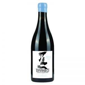 VIN DE FRANCE SYRAH DE ROBIAC DIVINEO 2021, prix ttc btle de 75 cl