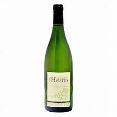 IGP VAL DE MONTFERRAND BERGERIE DOMAINE DE L HORTUS 2022, prix ttc btle de 75 cl